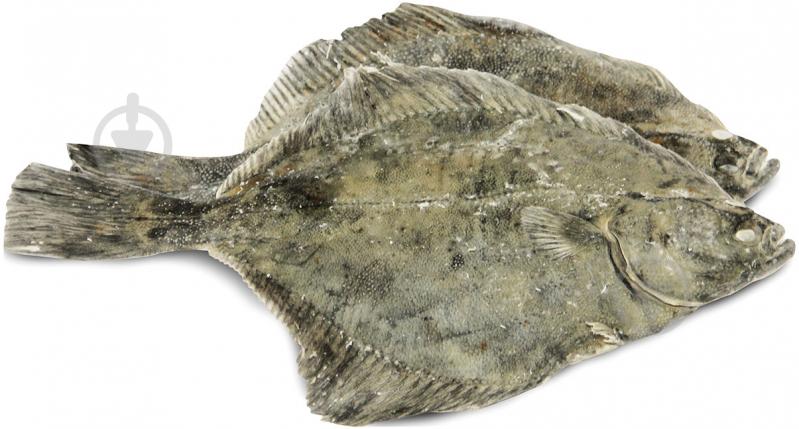 Камбала свежемороженая - фото 1