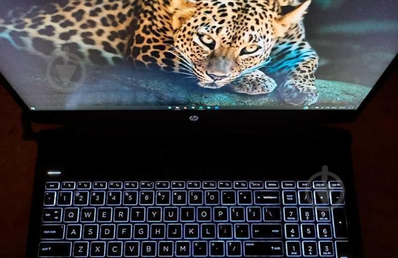 Ноутбук HP Pavilion 16 Gaming 16,1 (423Q7EA) black - фото 12