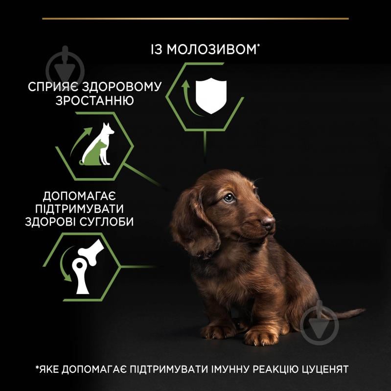 Корм сухой ProPlan by Purina Small & Mini Puppy <1 Healthy Start для щенков с курицей 700 г - фото 6