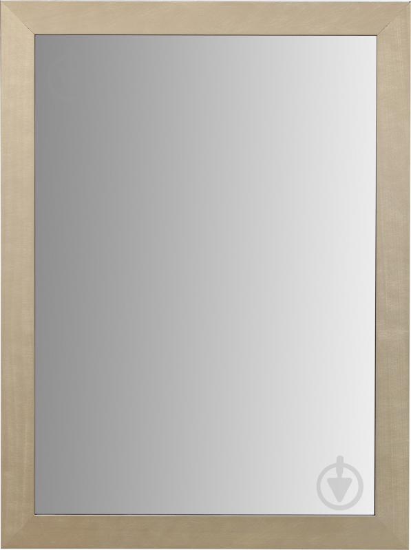 Зеркало ЭЗ-00237 500х700 - фото 1