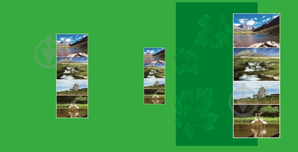 Фотоальбом EVG 30sheet S29x32 Fresh - фото 1 Фотоальбом EVG 30sheet S29x32 Fresh - фото 1