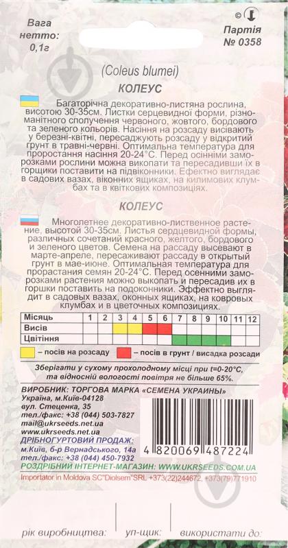 Семена Насіння України колеус 0,1 г - фото 2 Семена Насіння України колеус 0,1 г - фото 2