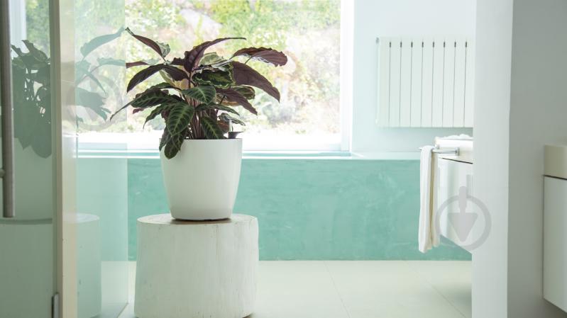 Горшок пластиковый Artevasi San Remo Self Watering System круглый 14,5 л белый - фото 2