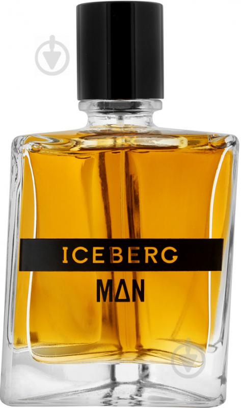 Туалетная вода Iceberg Man 100 мл - фото 1