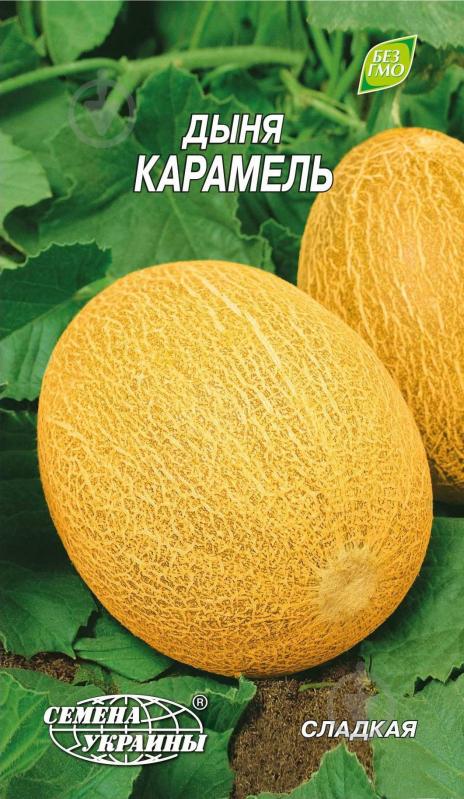 Семена дыня Карамель 2 г Насіння України - фото 1