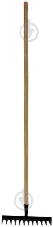 Грабли зубчатые с черенком - фото 1 Грабли зубчатые с черенком - фото 1