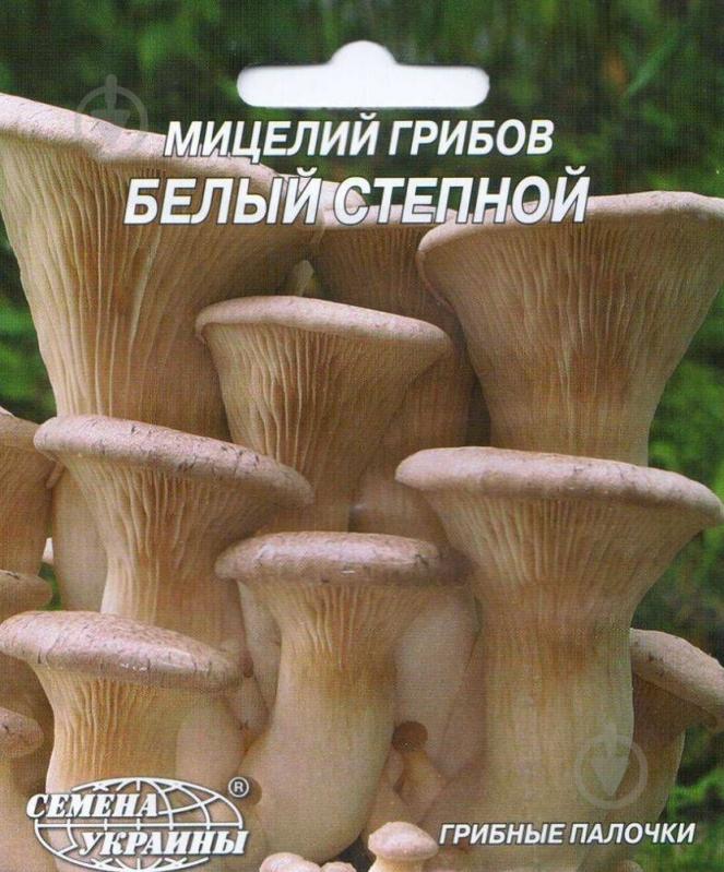 Мицелий Семена Украины Белый степной 10 шт. - фото 1 Мицелий Семена Украины Белый степной 10 шт. - фото 1