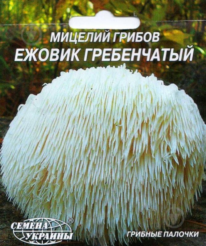 Мицелий Семена Украины Ежовик гребенчатый 10 шт. - фото 1