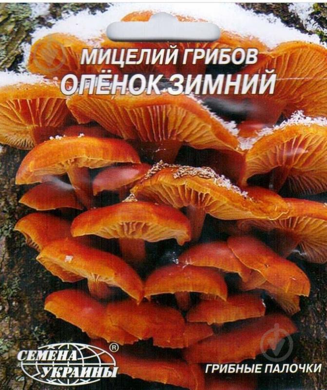 Мицелий Семена Украины Опенок зимний 10 шт. - фото 1