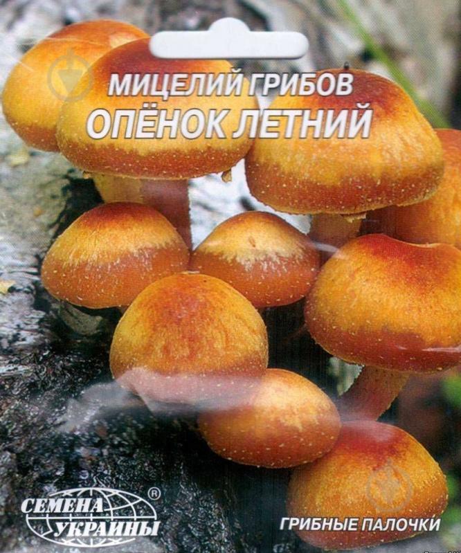 Мицелий Семена Украины Опенок летний 10 шт. - фото 1 Мицелий Семена Украины Опенок летний 10 шт. - фото 1