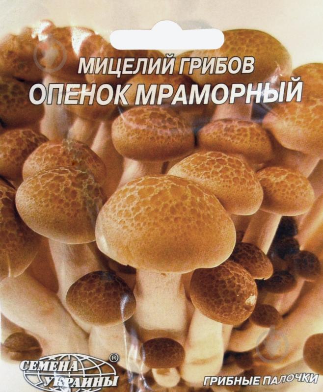 Мицелий Семена Украины Опенок мраморный 10 шт. - фото 1
