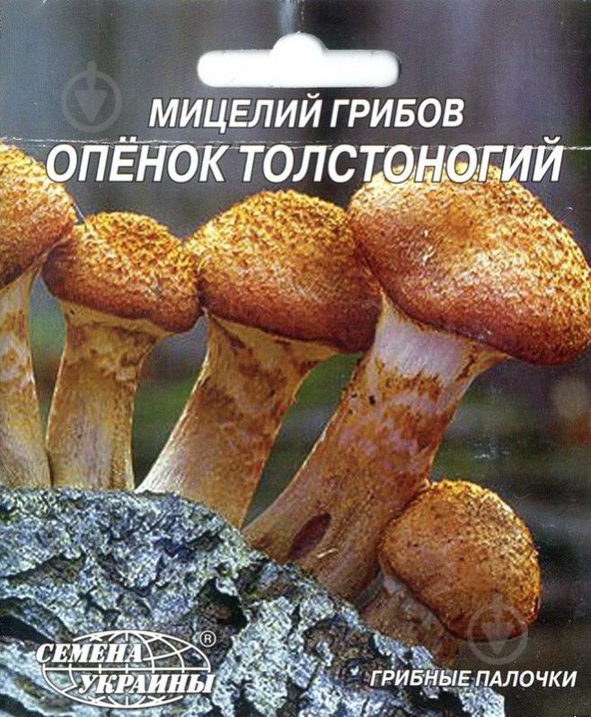 Мицелий Семена Украины Опенок толстоногий 10 шт. - фото 1