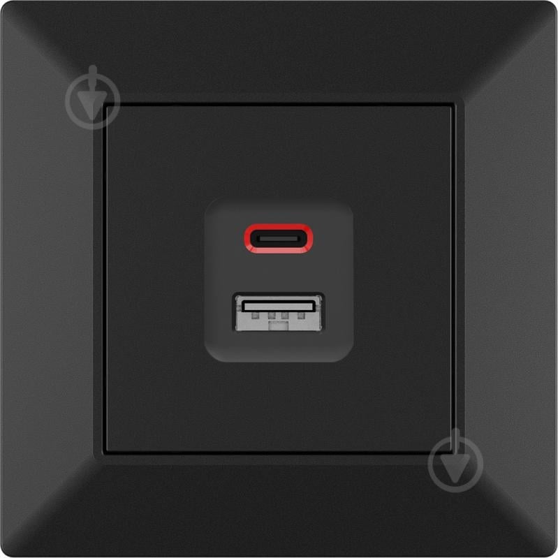 Механізм розетки USB + Type C HausMark Alta чорний - фото 1