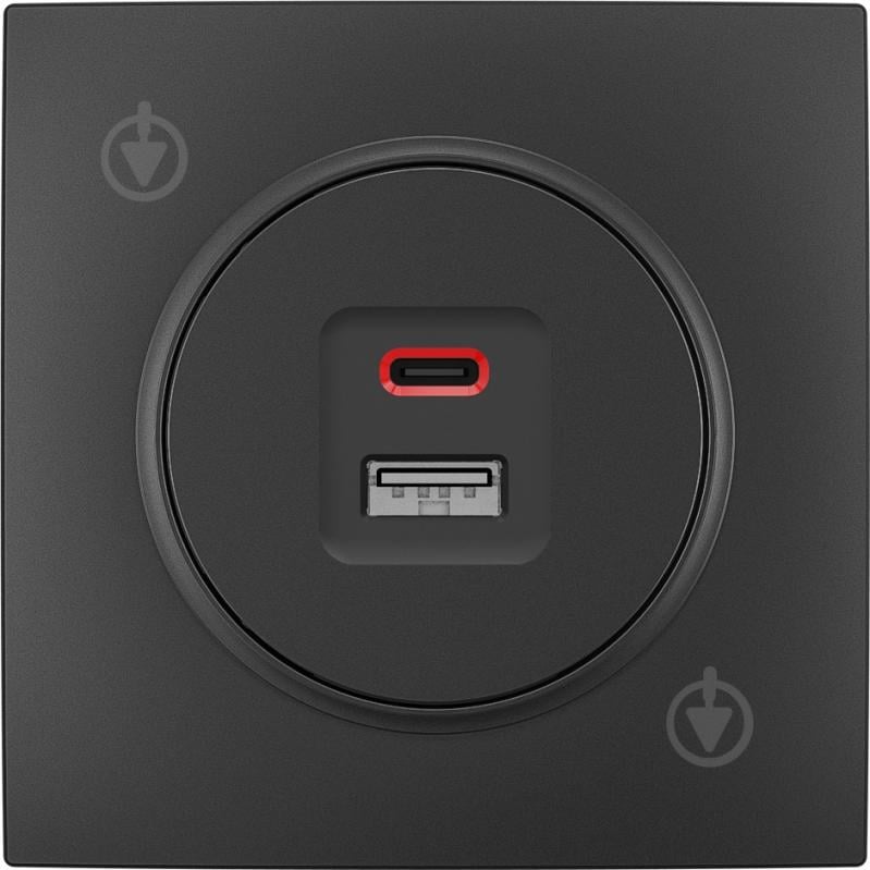 Механизм розетки USB + Type C HausMark Bela черный - фото 1