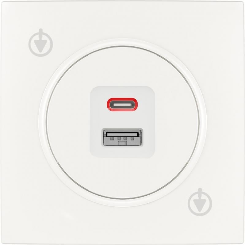 Механизм розетки USB + Type C HausMark Bela белый - фото 1