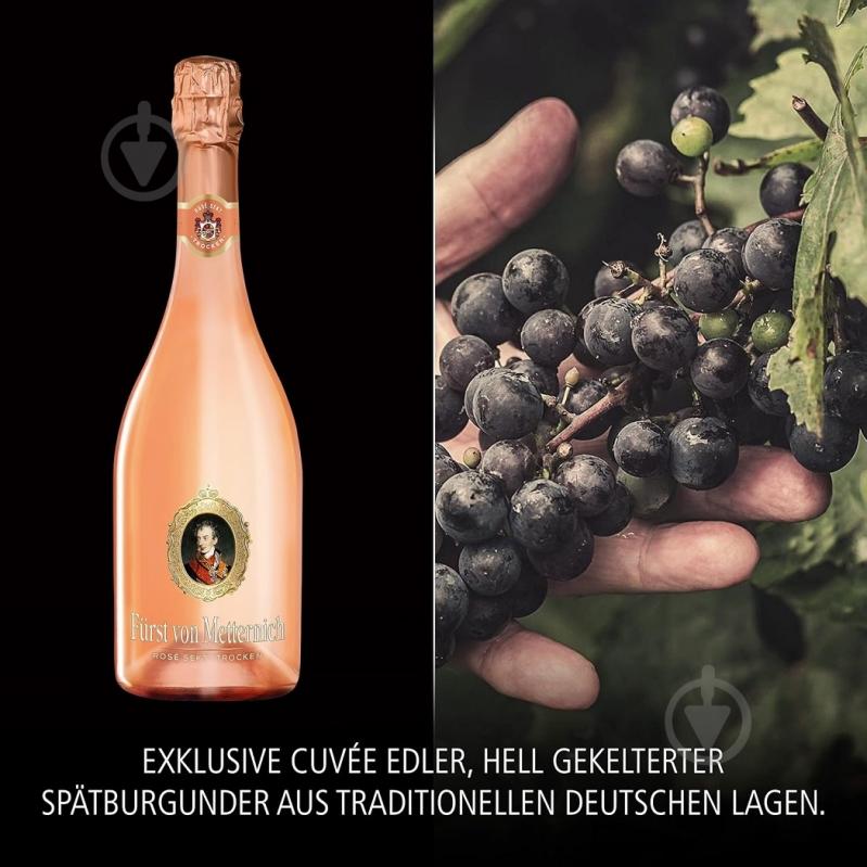 Вино игристое Furst von Metternich Rose розовое сухое 0,75 л - фото 5 Вино игристое Furst von Metternich Rose розовое сухое 0,75 л - фото 5