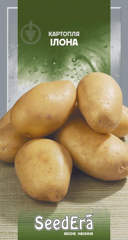 картофель илона семена