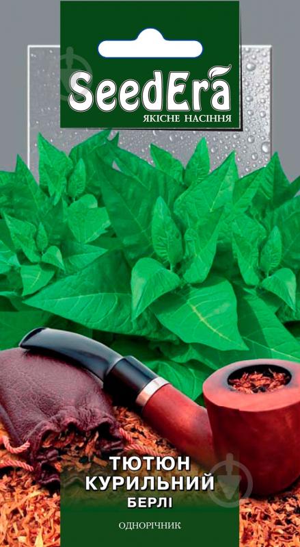 Насіння Seedera тютюн Берлі 0,05 г - фото 1