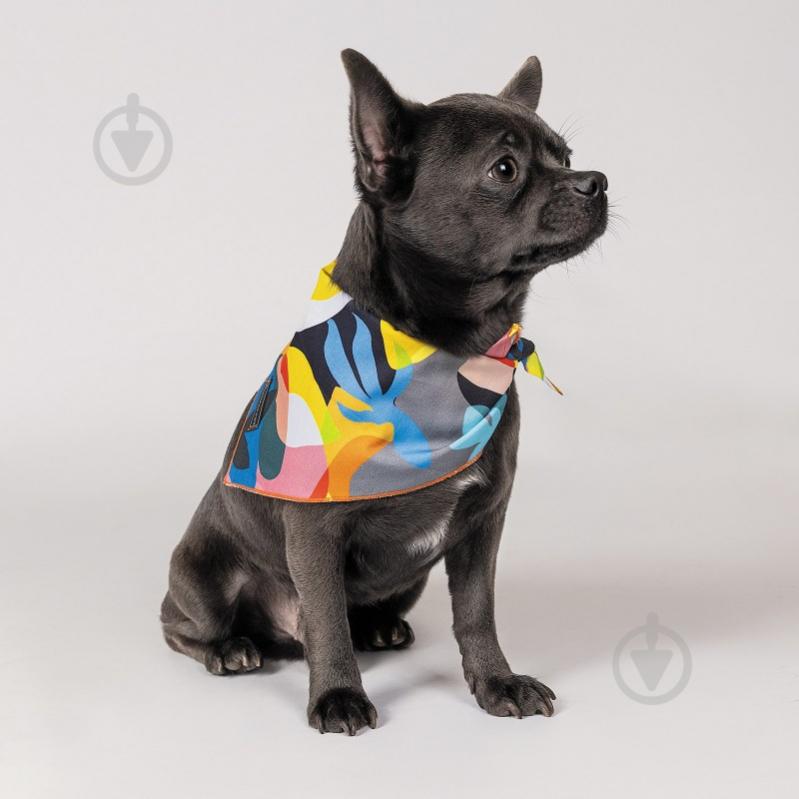 Бандана Pet Fashion для собак Weekend M-XL - фото 2