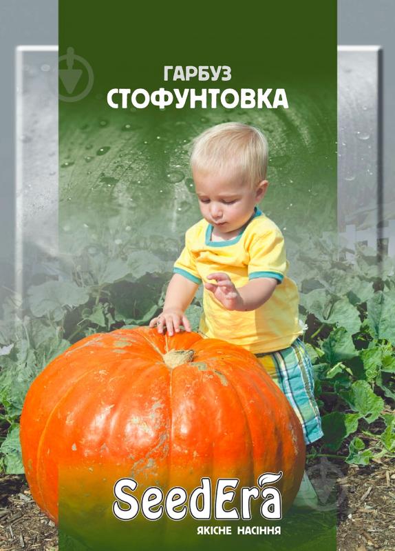 Семена тыква Стофунтовка 20 г SeedEra - фото 1