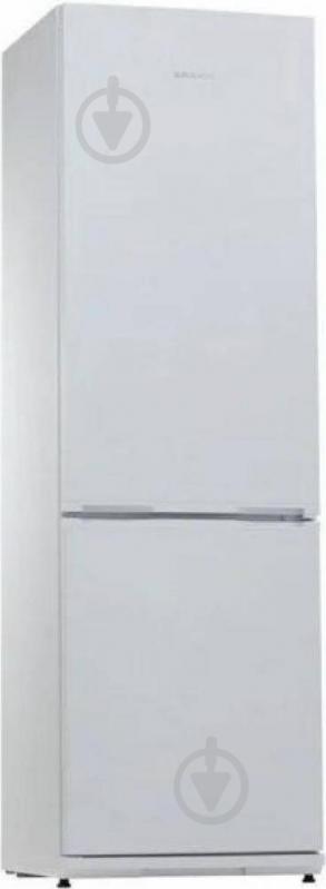 Холодильник Snaige RF36NG-P10026 - фото 1