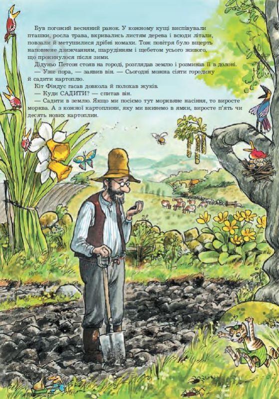 Книга Свен Нордквист «Петсон, Фіндус і переполох на городі. Казка.» 978-966-408-450-2 - фото 2