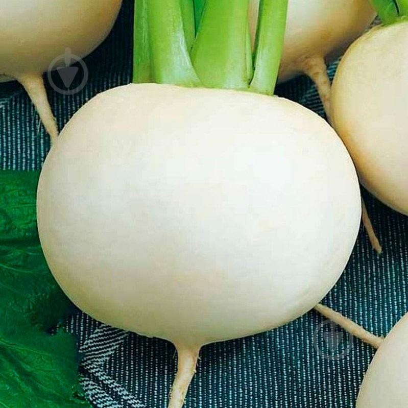 Семена Seedera Снежный шар 2 г - фото 2