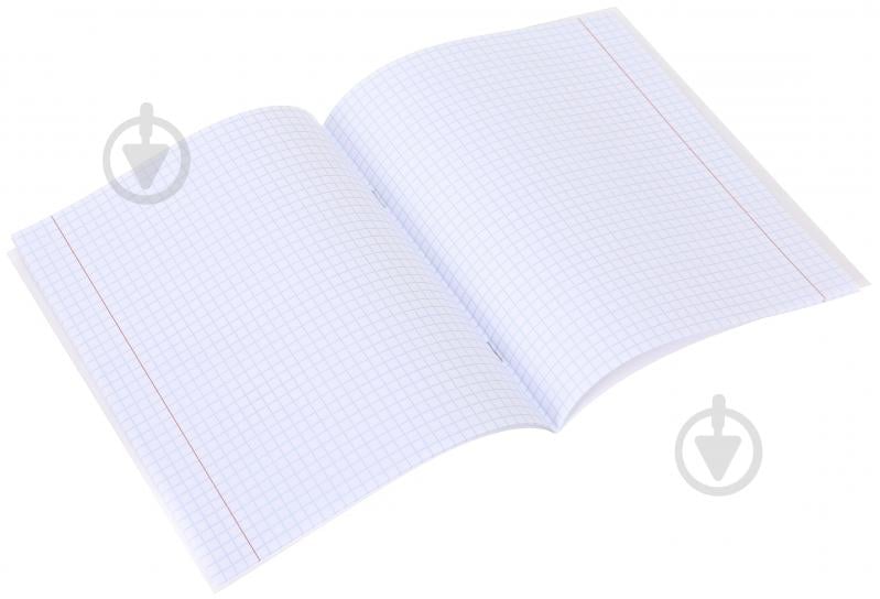 Зошит шкільний Capybara1_25 12 аркушів у клітинку Nota Bene - фото 4 Зошит шкільний Capybara1_25 12 аркушів у клітинку Nota Bene - фото 4