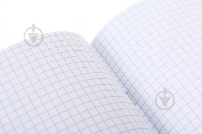 Зошит шкільний Capybara1_25 12 аркушів у клітинку Nota Bene - фото 5 Зошит шкільний Capybara1_25 12 аркушів у клітинку Nota Bene - фото 5