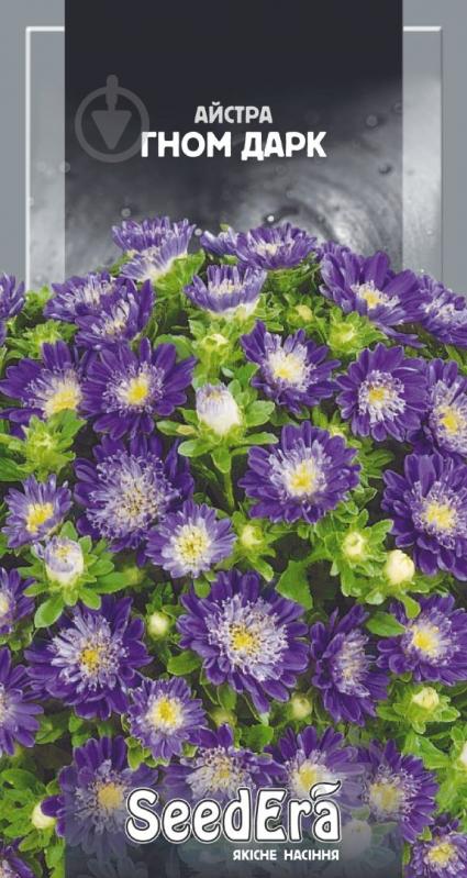 Семена Seedera астра Низкорослая Гном Дарк 0,25 г (4823073705001) - фото 1