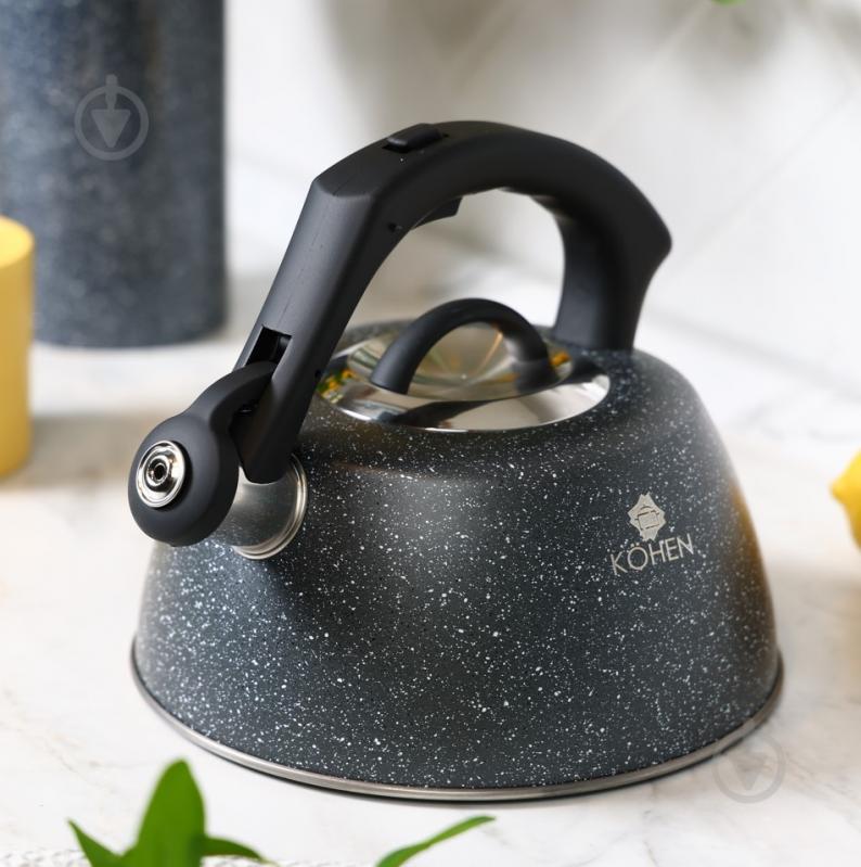 Чайник Kohen Rocky 3 л KN93002 - фото 2