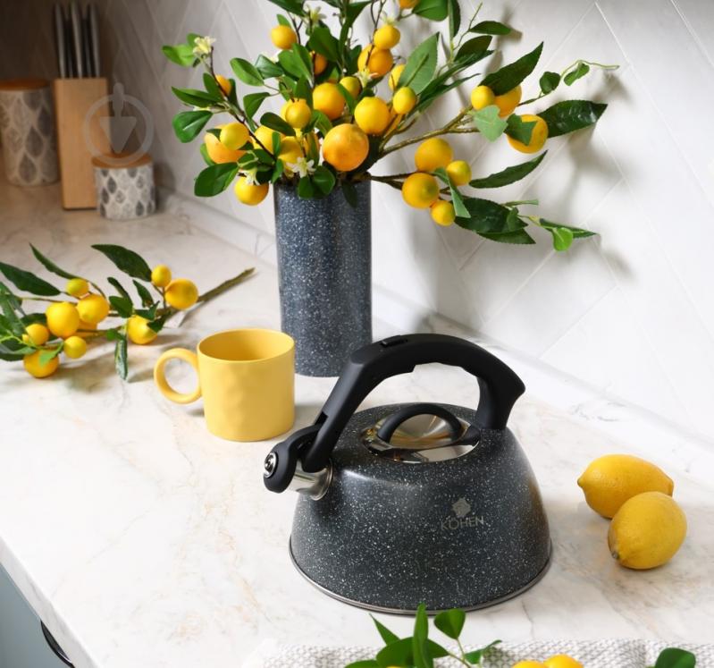 Чайник Kohen Rocky 3 л KN93002 - фото 5