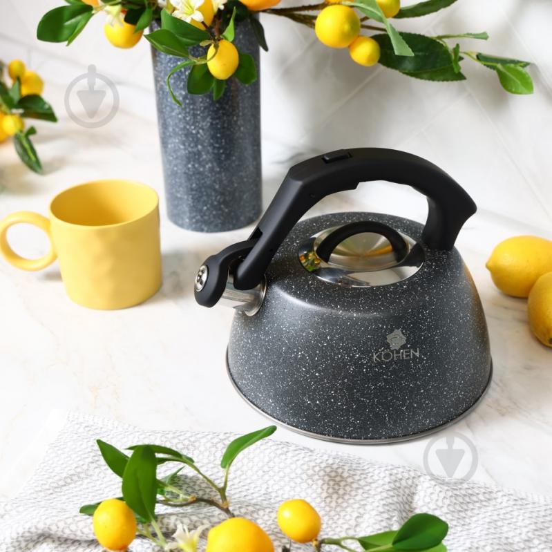 Чайник Kohen Rocky 3 л KN93002 - фото 3
