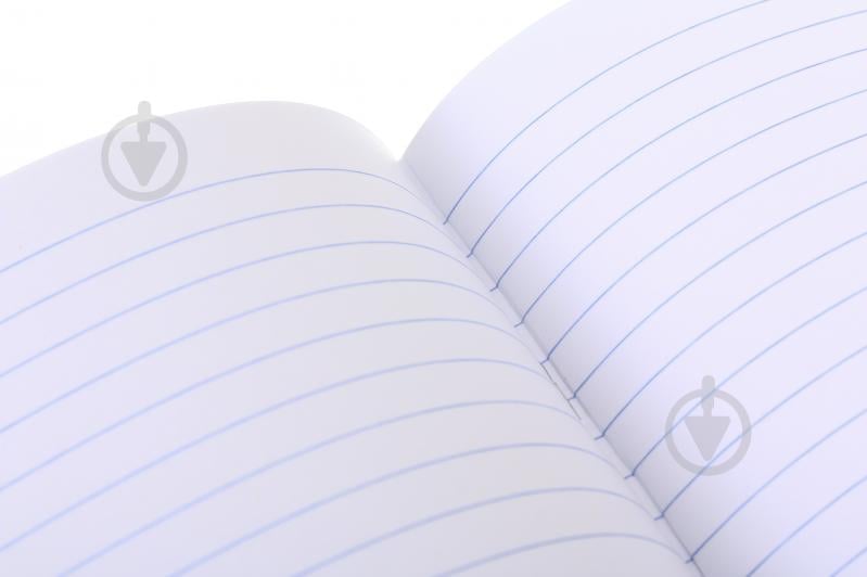 Зошит шкільний Pixel landscape2_25 48 аркушів у лінійку Nota Bene - фото 4 Зошит шкільний Pixel landscape2_25 48 аркушів у лінійку Nota Bene - фото 4