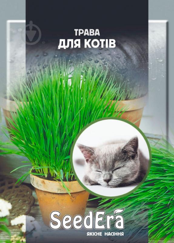 Семена SeedEra - фото 1