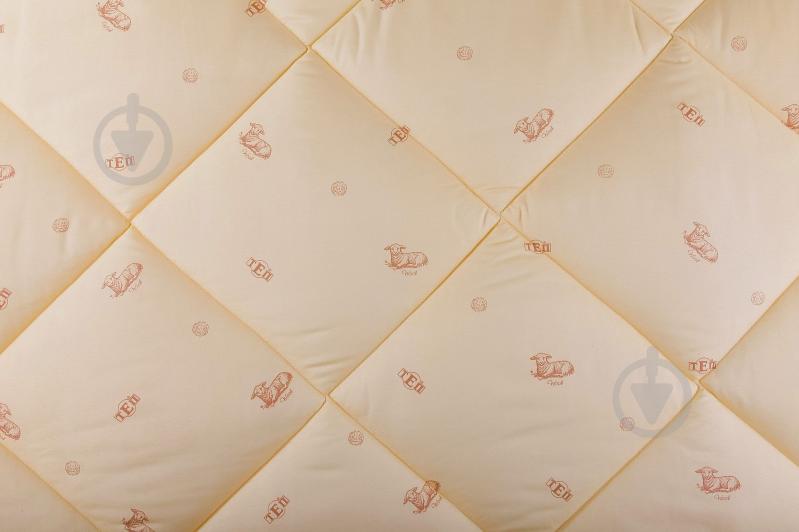 Одеяло DREAM COLLECTION ( microfiber ) WOOL 200х210 см ТЕП - фото 4
