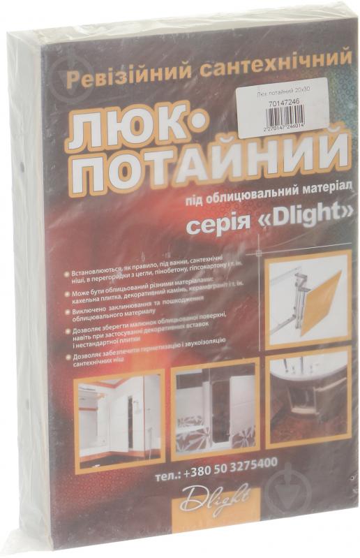 Ревизионный люк DLight 20x30 - фото 4