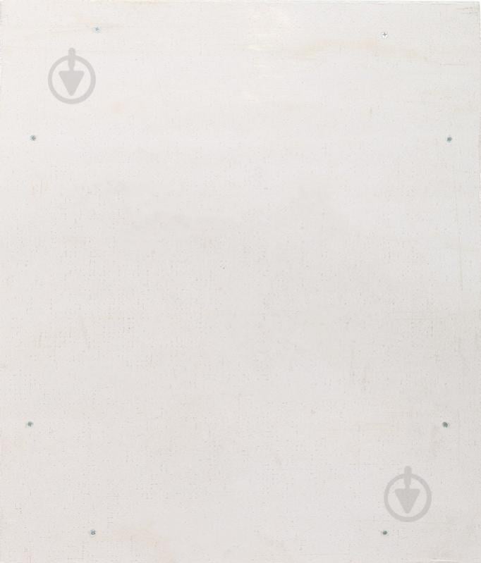 Ревизионный люк Д ЛАЙТ 50x60 - фото 2