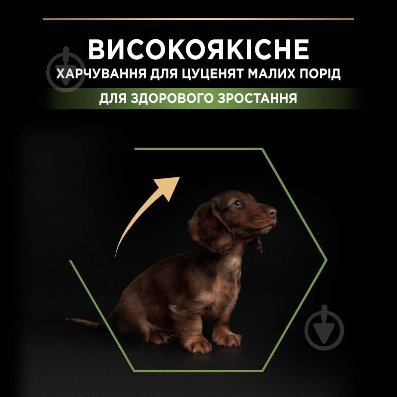 Корм сухой ProPlan by Purina Small & Mini Puppy <1 Healthy Start для щенков с курицей 3 кг - фото 5