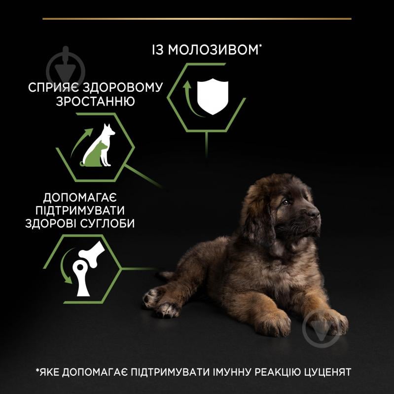 Корм сухой ProPlan by Purina Large Robust Puppy <2 Healthy Start для щенков с курицей 12 кг - фото 6