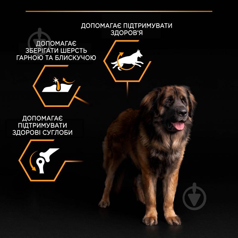 Корм сухой ProPlan by Purina Large Robust Adult 2+ Everyday Nutrion для взрослых собак с курицей 14 кг - фото 5 Корм сухой ProPlan by Purina Large Robust Adult 2+ Everyday Nutrion для взрослых собак с курицей 14 кг - фото 5