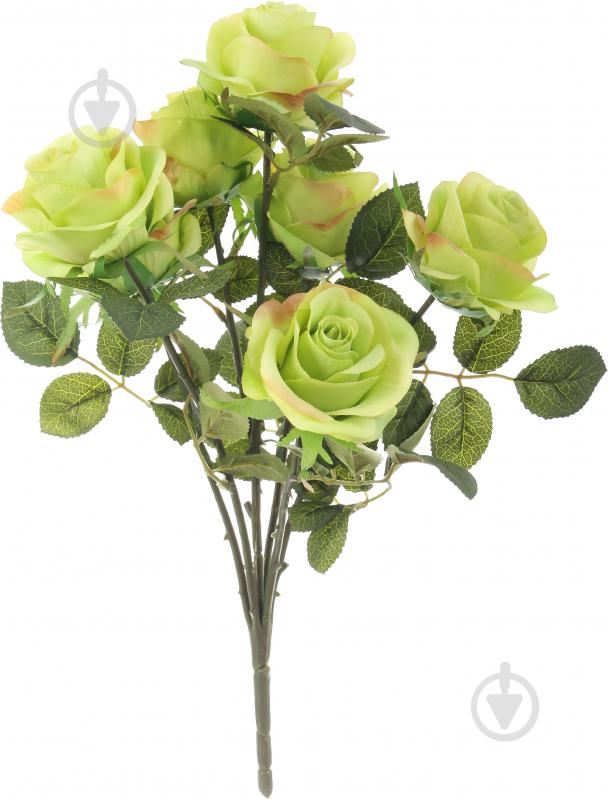 Букет роз 7 цветков зеленый - фото 1 Букет роз 7 цветков зеленый - фото 1