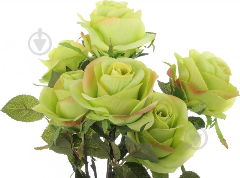 Букет роз 7 цветков зеленый - фото 2 Букет роз 7 цветков зеленый - фото 2