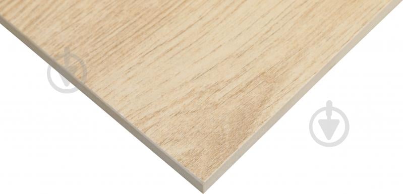 Плитка Allore Group Timber Ivory F PR R Mat 19,8x120 см - фото 2