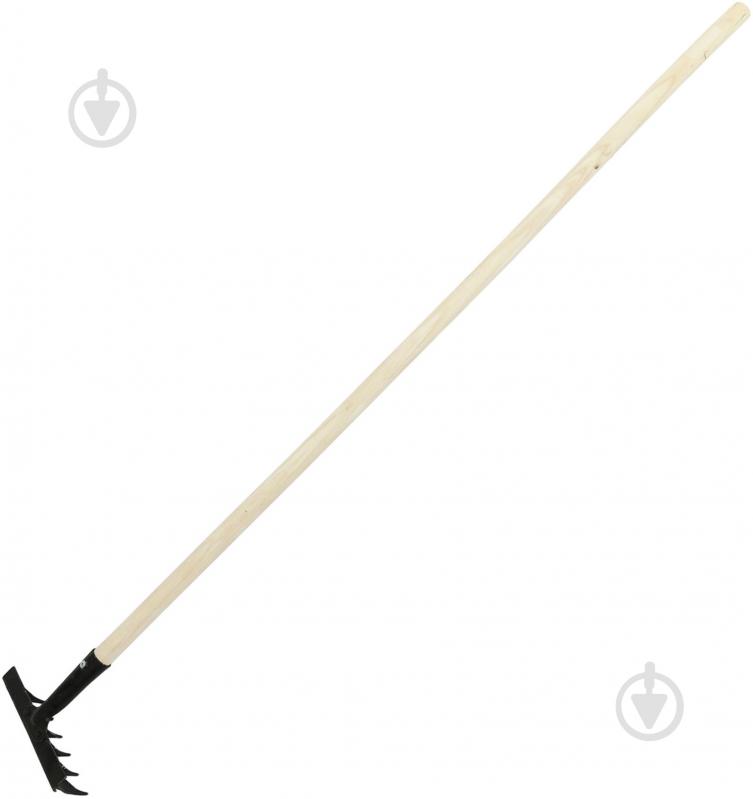 Грабли зубчатые с ручкой 1 - фото 1 Грабли зубчатые с ручкой 1 - фото 1