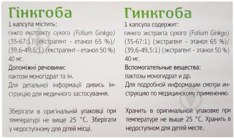 Гинкгоба по 40 мг №60 (10х6) капсулы - фото 2 Гинкгоба по 40 мг №60 (10х6) капсулы - фото 2