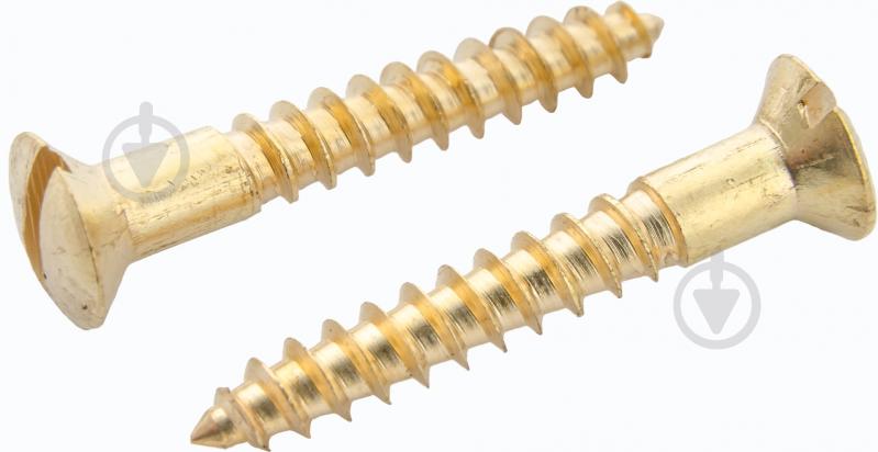 Шуруп по дереву полупотайная головка Expert Fix 6,0х70 мм 2 шт 6x70 мм 2 шт. (21960070 ) - фото 1 Шуруп по дереву полупотайная головка Expert Fix 6,0х70 мм 2 шт 6x70 мм 2 шт. (21960070 ) - фото 1