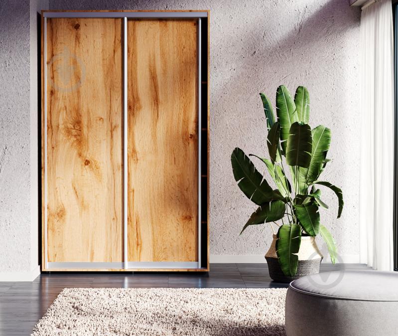 УЦІНКА! Двері до шафи-купе Берегиня 700x90x2150 мм ДСП (УЦ №2526) - фото 1