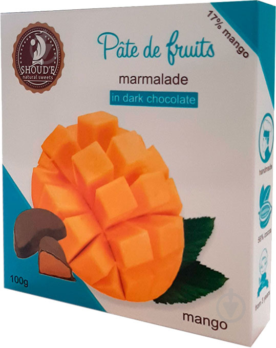 Мармелад в шоколаде Pate de Fruits Манго к/у 100 г - фото 1