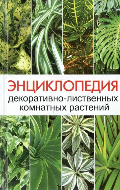 ᐉ Книга Елена Сайдакова «Энциклопедия декоративно-лиственных комнатных ...